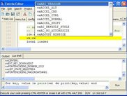 the editor with the lua shell and active autocomplete