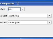 Config Window