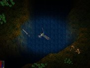 exploring by swimming