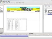 eXaro on GNU/Linux (Romanian translation)