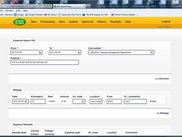 Browser report entry