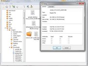 view of folder properties.