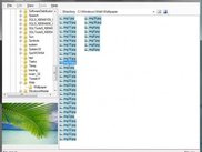 File Browser