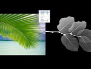 Image Viewer with Two Image Mode enabled