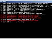 The FAS Server as console application with German UI