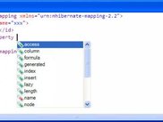 Attribute completion ( using NHibernate schema )
