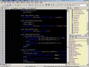 FbEdit code editor