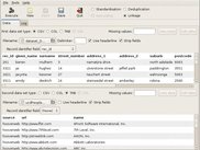 Febrl GUI data page for a linkage of two data sets.