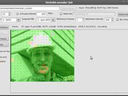 Fevh264 GUI, GTK2 (Ubuntu 10.10)