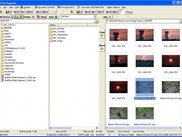 Main page showing treeview