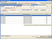 Comprehensive rename function. With Add No. sequence replace