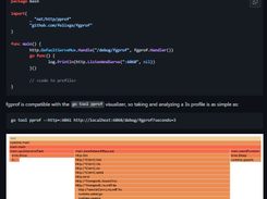 fgprof Screenshot 1