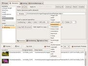 Métamorphose 2 - renamer panel on Gnome