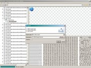 3. Exporting found format structures