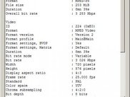 2 - MediaInfo screen