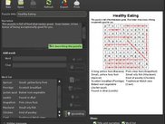 FTW on Linux Mint's Peppermint theme