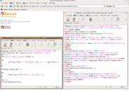Creating an NSP webpage.