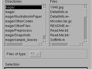 input the image of leaf you wanna classify
