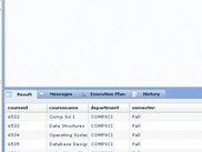 Query Window