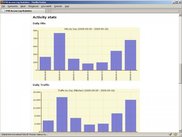 Activity Stats: Daily Hits and Traffic