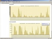 Activity Stats: Bandwidth and Peak Bandwidth