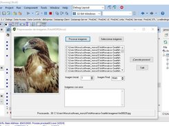 Image index generator