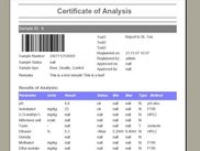 example report