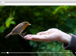 wecast.it HLS video player