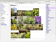 Gallery view ("new" style)
