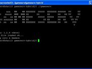 Gameserv being run from a shell