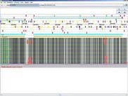 Detailed multiple alignment and some gene annotation
