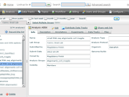 Analysis Project Center