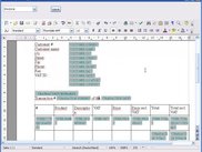 The template designer