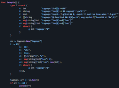go-tagexpr Screenshot 1