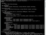 The console interface, displaying usage information.