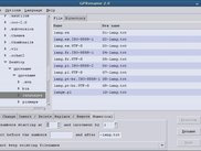 GPRename 2.0 - Numerical