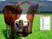 grk-0.1.0-rc2 with fluxbox