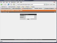 Main User Login Form