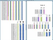 Long haplotypes can be compressed to region of interests