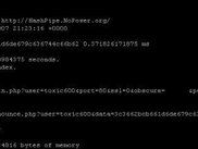 HashPipe PHP client 0.2-alpha starting up on OpenBSD 4.1 ksh
