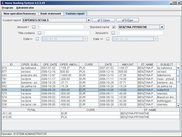 Program main window - viewing reports