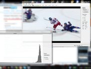Version 1.2 in Windows 7 with floating form