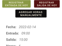 Visualiza las horas registradas
