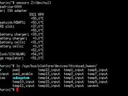 ThinkPad-ACPI 0.19-20080321 HWMON sensors