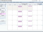 Monthly View