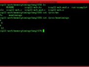 Screenshot of memory timings dump.