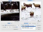 SmillaEnlarger and some sheep on MacOS X