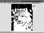 LCL Imager Demo (Lazarus Application)