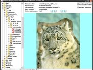 Image Browser Demo (VCL Application)