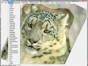 LCL Imager Demo (Lazarus Application)